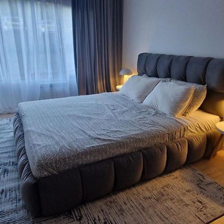 Free Spa Pirin Lodge Cosy Apartment Bansko Zewnętrze zdjęcie