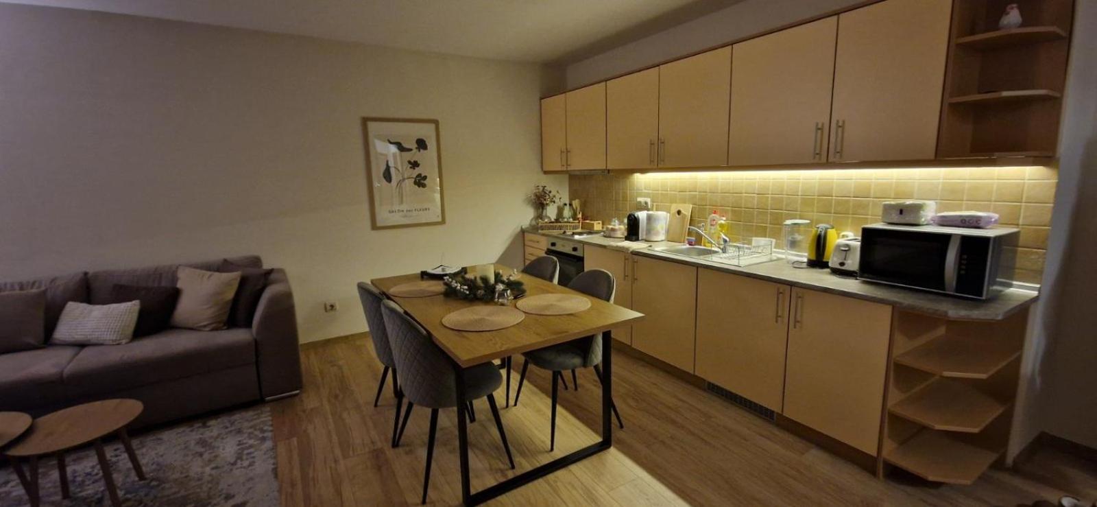 Free Spa Pirin Lodge Cosy Apartment Bansko Zewnętrze zdjęcie